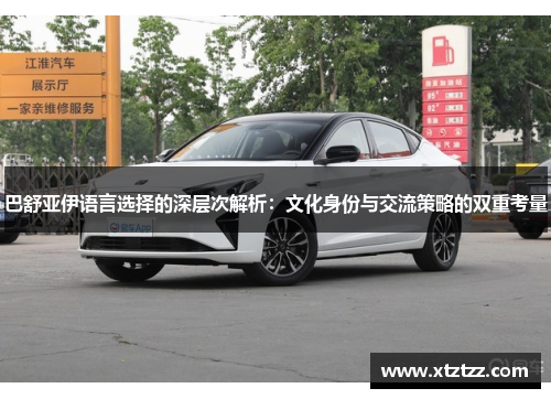 巴舒亚伊语言选择的深层次解析：文化身份与交流策略的双重考量